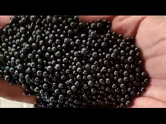 জৈব সার উৎপাদন লাইন