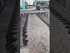 ডাবল রোলার গ্রানুলেটর কম্পাউন্ড সার উৎপাদন লাইন