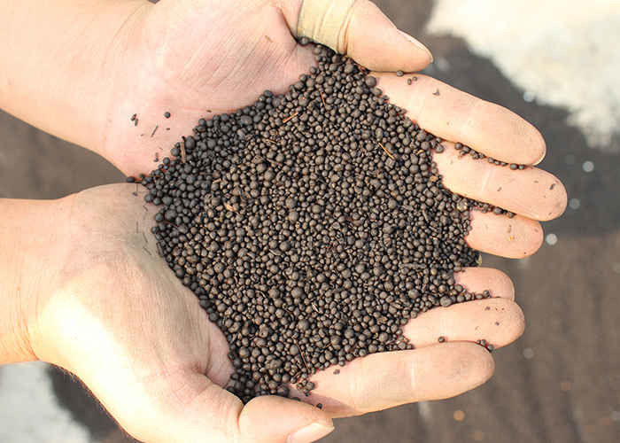 Fertilizer Granulator Organic Waste Granulation Including Sawdust Dairy Manure Vegetable Remnants and Microbial Strains