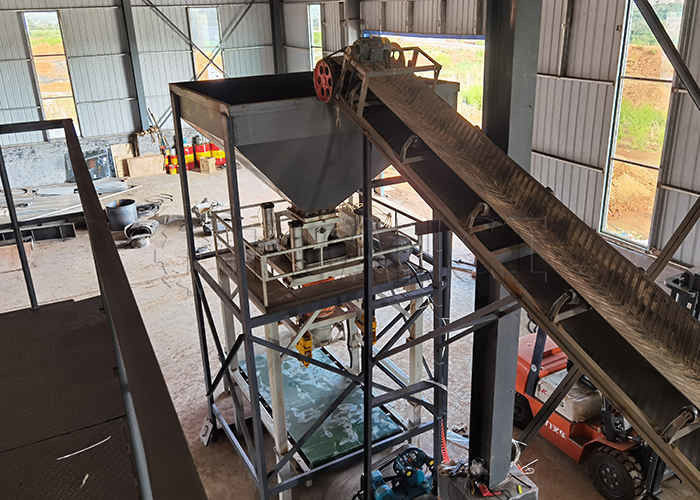 ডাবল রোলার এক্সট্রুশন গ্র্যানুলেটর সহ গ্রানুলস সাইজ ২-১০মিমি কম্পাউন্ড সার তৈরি লাইন